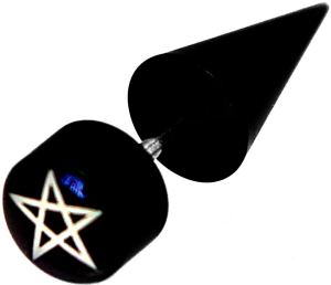 stern_logo_plug_facke